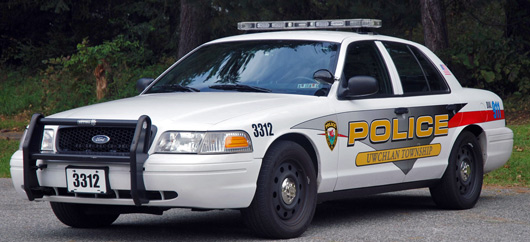 Example of a vehicle graphic